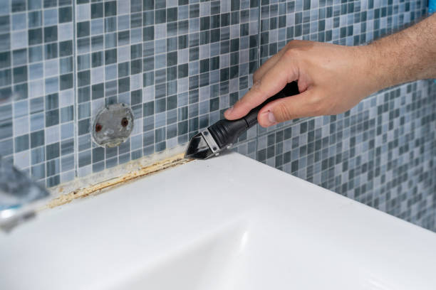 Best Mold Cleaning Services  in Donna, TX